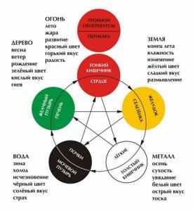 Фотография Телесно-ориентированная психотерапия 0