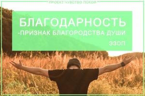 Фотография Чувство покоя 0